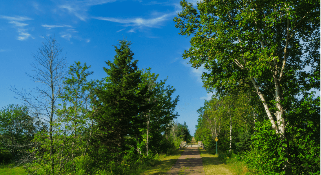 <h3 class="blue-bg-head"><a href="https://thegreattrail.ca/" target="_blank">TRANS CANADA TRAIL</a></h3>